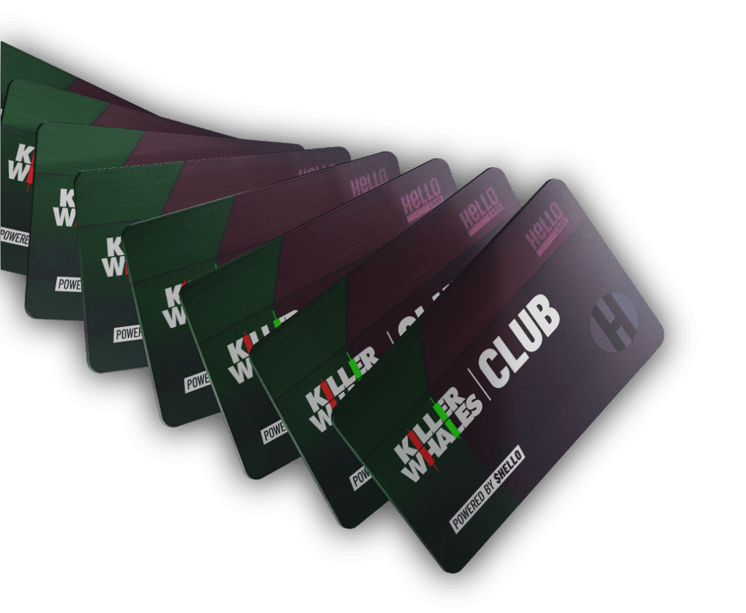 Killer Whales Club Cards